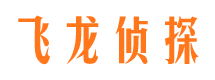 陆良市私家侦探